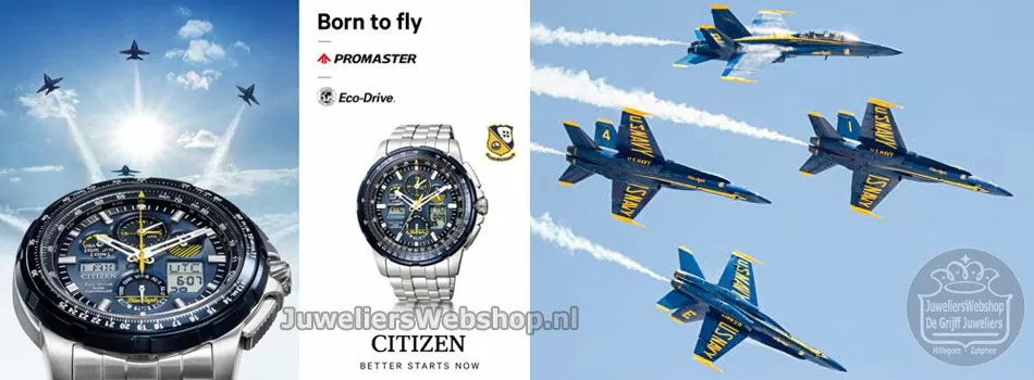 Citizen Blue Angels Promaster