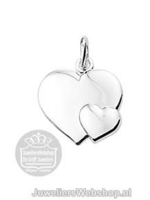 Zilver hanger