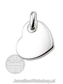 Zilver hanger