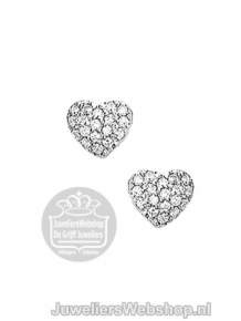 Zilver Oorknoppen