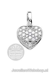 Zilver hanger