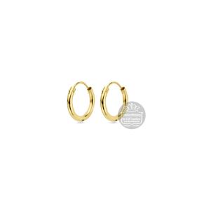 Gouden creolen 4013329