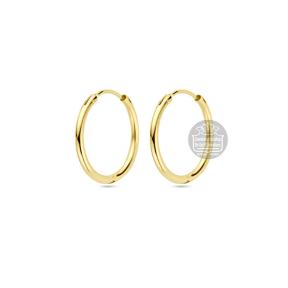 Gouden creolen 4013331