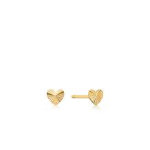 Ania Haie 14kt Gold Oorbellen EAU001-19YG