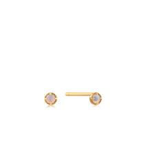 Ania Haie 14kt Gold Oorbellen EAU001-25YG