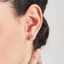 Ania Haie 14kt Gold Oorbellen EAU005-02YG