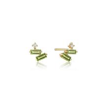 Ania Haie 14kt Gold Oorbellen EAU005-02YG