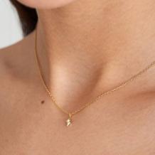 Ania Haie Collier N034-01G