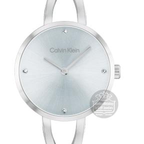 Calvin Klein CK25100058 Horloge Dames