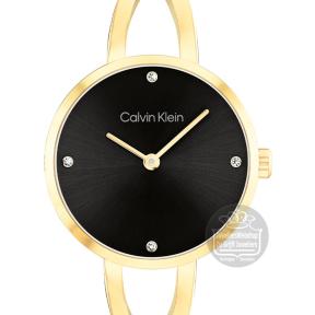 Calvin Klein CK25100059 Horloge Dames