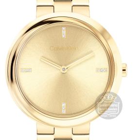 Calvin Klein CK25100094 Horloge Dames Goud