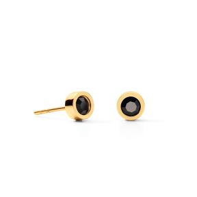Coeur de Lion Oorbellen 0227/21-1316 Black Goldplated