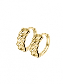 Gouden creolen 4017698