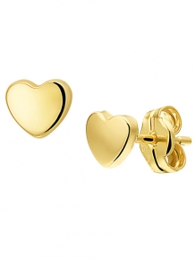 Gouden oorknoppen 4018273