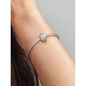 Pandora clip Silver Sparkling Sunburst 798614C01