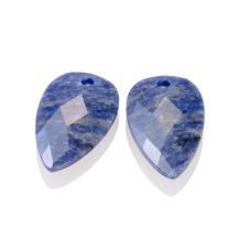 Sparkling Jewels Eardrops Sodalite Blossom EAGEM20-BS