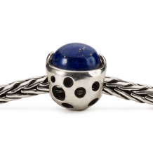 trollbeads kraal Bakermat van Kennis TAGBE-00283 zilver