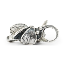trollbeads slot Verborgen Schoonheid TAGLO-00094
