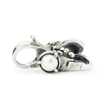 trollbeads slot Verborgen Schoonheid TAGLO-00094