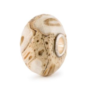 trollbeads kraal Gefossiliseerd Hout TSTBE-20042