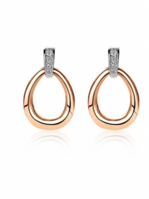 zinzi hangers voor oorringen
