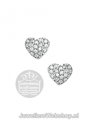 Zilver Oorknoppen