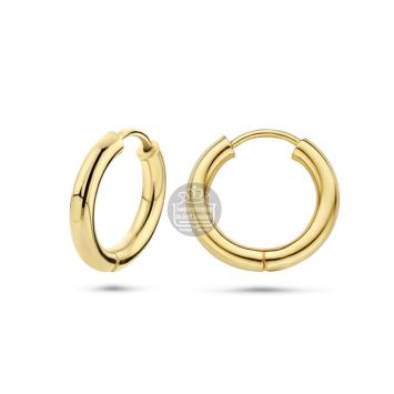 Gouden creolen 4001660