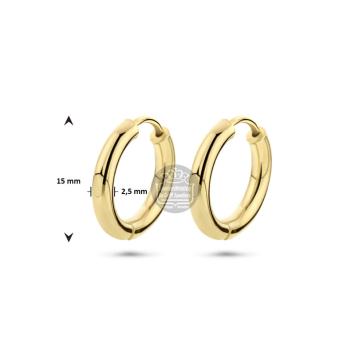 Gouden creolen 4001660
