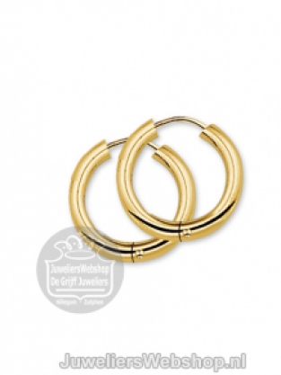 Gouden creolen 4001660