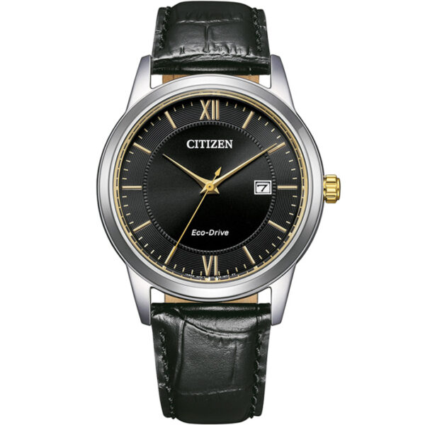 Citizen AW1784-16E horloge Eco-Drive Zwart