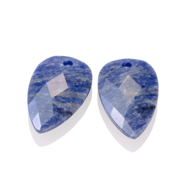Sparkling Jewels Eardrops Sodalite Blossom EAGEM20-BS