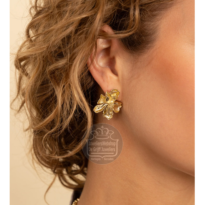 Sparkling Jewels Oorstekers Botanic Push Back Verguld EAG45 - Afbeelding 3